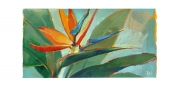 Bird Of Paradise Oil